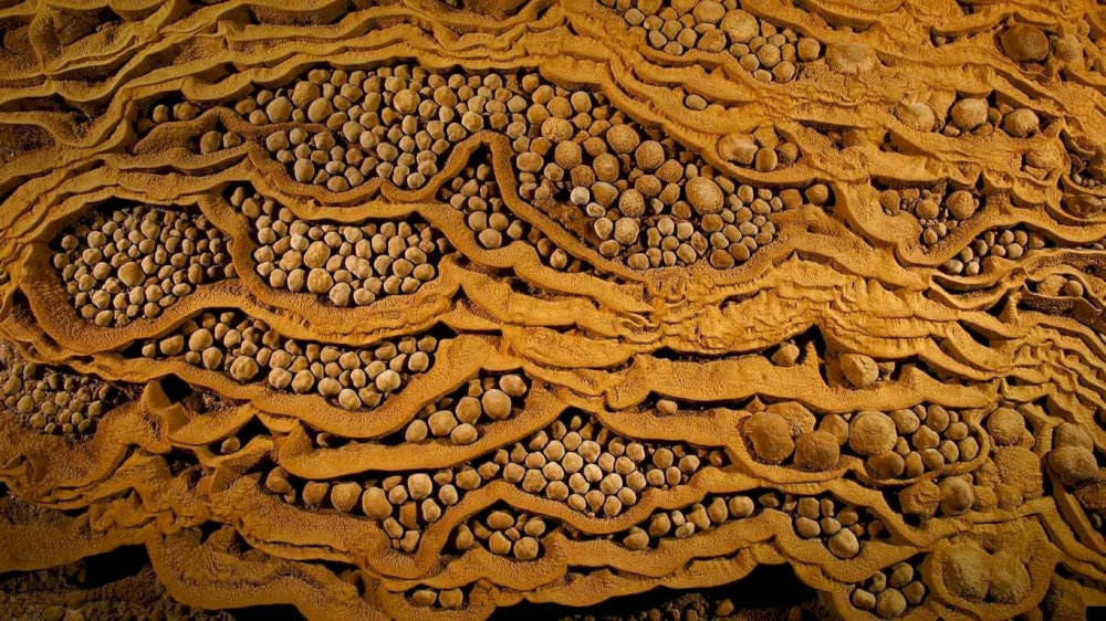Cave pearls form over centuries as mineral-rich water coats grains of sand with calcite